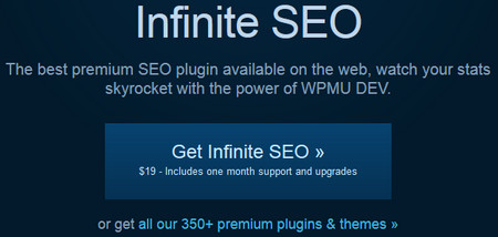 WPMU dev Infinite SEO برای وردپرس